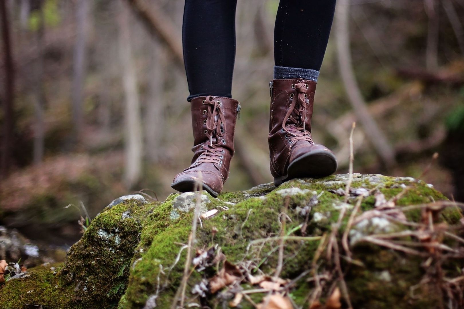 Bruna kängor på en mossig sten i skogen under en vandring